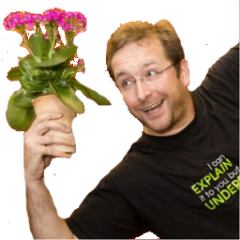 Falk Kühnel
